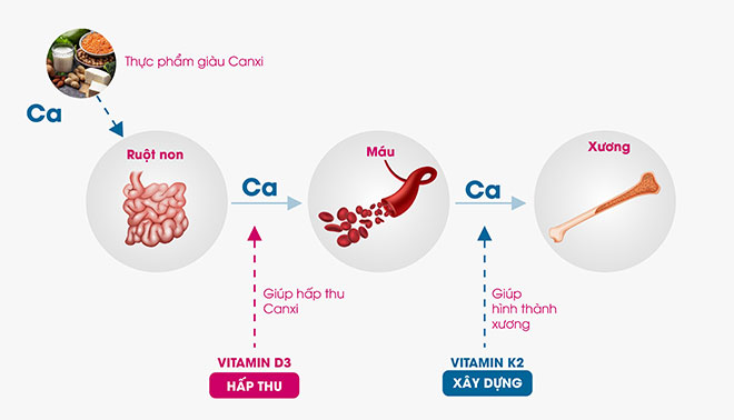 Đây là lý do trẻ thấp, còi, lùn cần sử dụng ngay vitamin K2 để “tăng tốc” chiều cao - 4