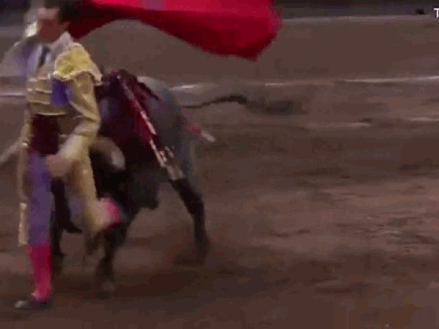 Media - Kinh hoàng khoảnh khắc võ sĩ đấu bò bị húc văng lên không trung