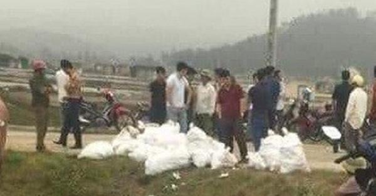 Pháp luật - Chặn ôtô trên Quốc lộ 1, bắt kẻ vận chuyển gần 230 kg ma túy