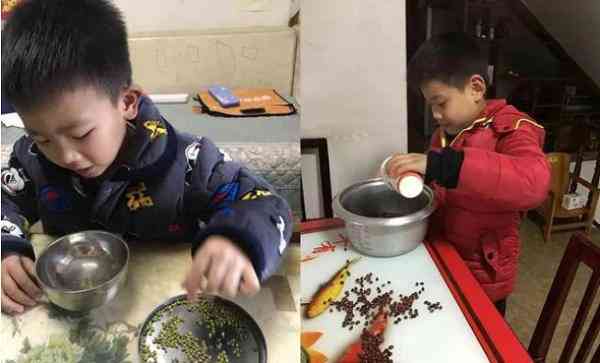 Sợ con bị trách phạt, gây ảnh hưởng tâm lý, người mẹ vẫn nhất quyết đếm hết 10.000 hạt đậu, đén khi hoàn thành đã là 1 giờ sáng.