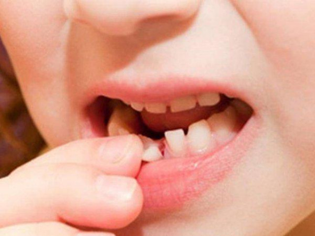 Sức khỏe đời sống - Tìm ra cách có thể giúp con người mọc lại răng vĩnh viễn