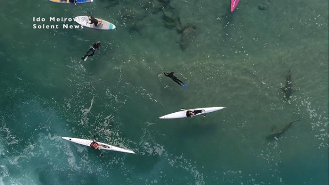 Cảnh tượng lúc đầu xem ra vẫn... yên bình…