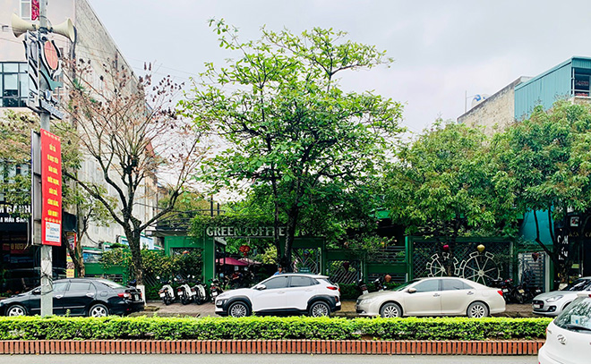 Green Coffee Hà Nam: “Khu rừng” nhỏ đưa bạn hòa mình với thiên nhiên - 1