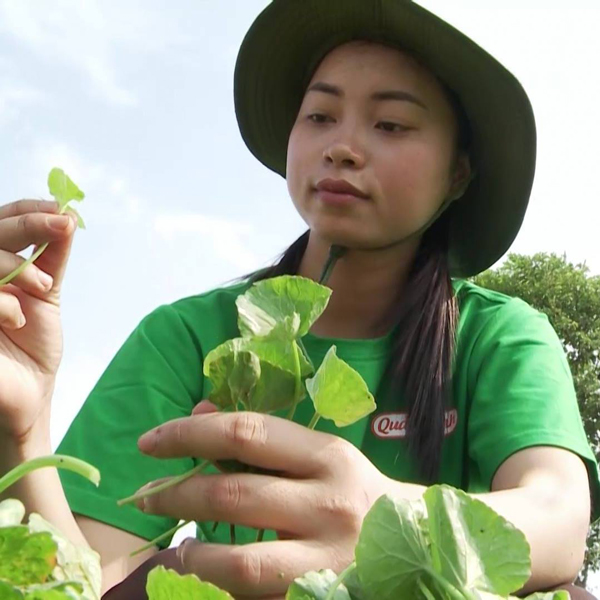 Là người tiên phong trong dòng sản phẩm bột rau sấy lạnh, chị Hương đã chinh phục từng bước thị trường.