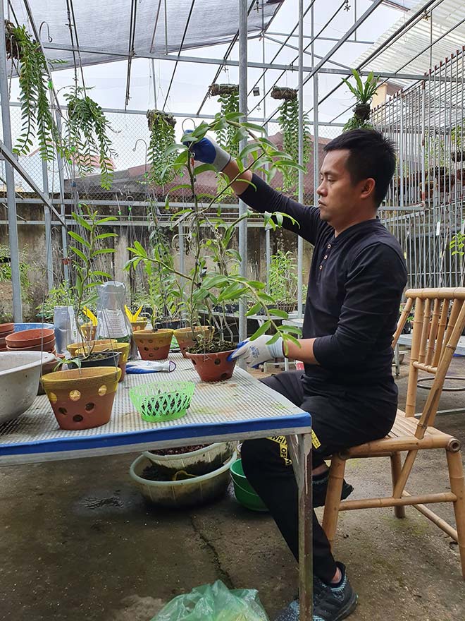 Ông chủ vườn lan Dương Xuân Tú bỏ nghề theo đuổi hoa phong lan - 1
