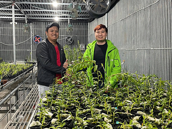 Ông chủ vườn lan 9X Trần Vinh chia sẻ bí quyết trồng lan thành công - 2