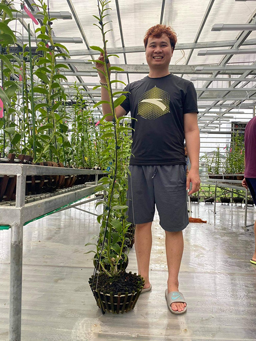 Ông chủ vườn lan 9X Trần Vinh chia sẻ bí quyết trồng lan thành công - 5