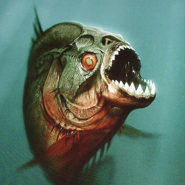 Piranha đen có thể thực hiện những cú táp có lực hơn gấp 30 lần trọng lượng cơ thể.