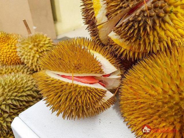 Thị trường - Tiêu dùng - Bất ngờ khi sầu riêng còn có ruột màu này ngoài màu vàng truyền thống