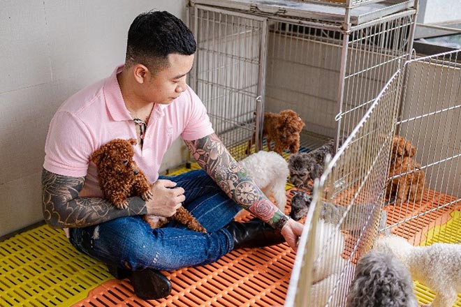 Gặp gỡ chàng trai sở hữu đàn chó Poodle khủng ở Hà Nội - 5