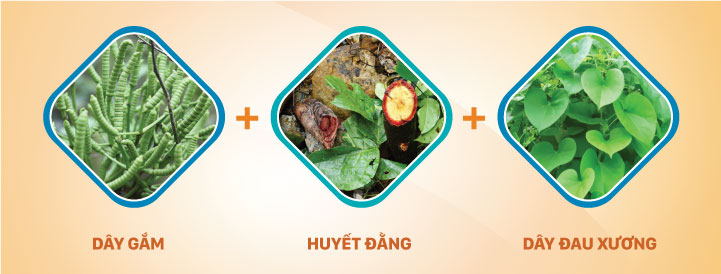 Ai bị Gút, đau như rút xương: Làm cách này là ổn ngay - 4