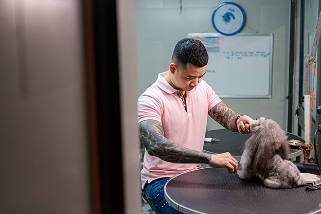 Gặp gỡ chàng trai sở hữu đàn chó Poodle khủng ở Hà Nội - 6