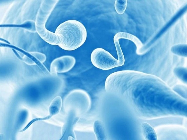 Sức khỏe đời sống - Kiêng làm "chuyện ấy" trong thời gian dài có khiến “tinh binh” khỏe mạnh?