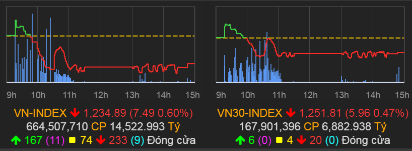 VN-Index giảm 7,49 điểm (0,6%) xuống 1.234,89 điểm.
