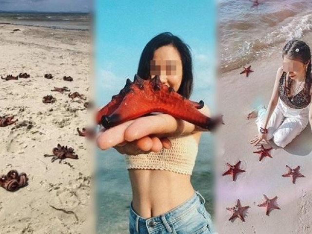 Bạn trẻ - Cuộc sống - Dân mạng chỉ trích mạnh mẽ việc sống ảo khiến sao biển chết khô