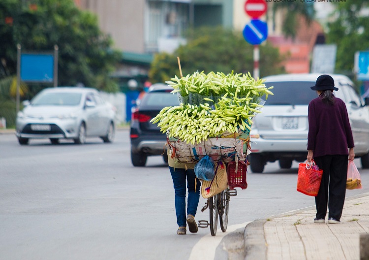 Từ sáng sớm đến chiều tối, cô Doan đạp xe rong ruổi từ đường Thụy Khuê, Phan Đình Phùng về Lạc Long Quân. Trung bình mỗi ngày bán được hơn 20 bó, khoảng 200 bông.