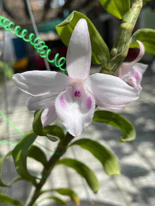 Thành quả của những đam mê và nỗ lực