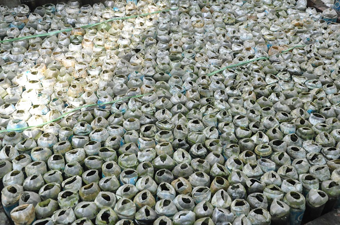 Hàng nghìn chai lọ phế liệu được ông Thắng tận dụng để nuôi cá.