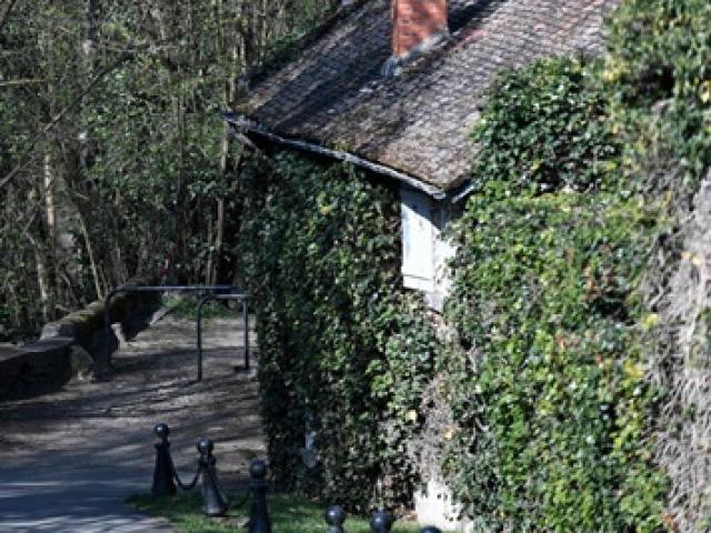 Kinh doanh - Đại gia vừa bị trộm đột nhập vào nhà "khoắng" sạch tài sản là ai?