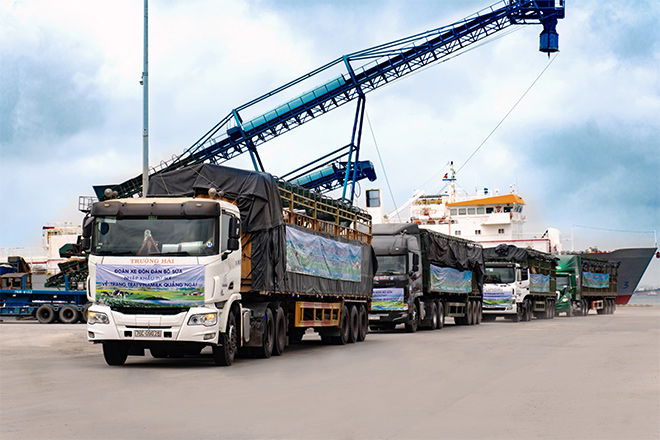 Dàn xe hùng hậu gần 80 chiếc đã sẵn sàng tại cảng để đón các cô bò sữa về ngôi nhà mới – Vinamilk Green Farm