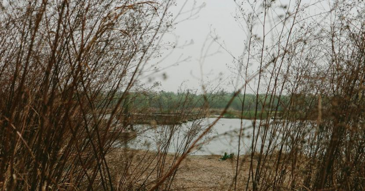 Thế giới - Chuyện những xác chết vô danh ở Trung Quốc