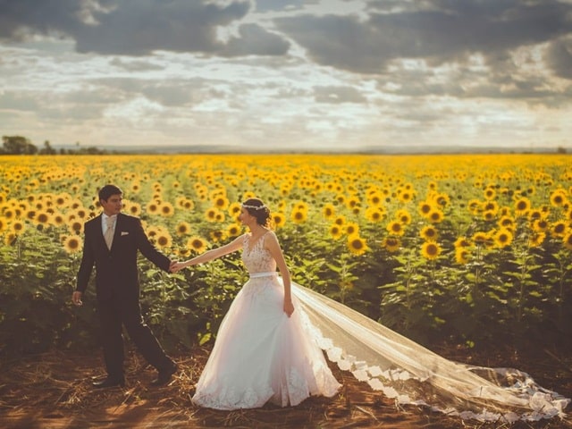 Bạn trẻ - Cuộc sống - Bố mẹ chồng dành nửa năm trồng cả vườn hướng dương tặng con dâu đúng ngày cưới