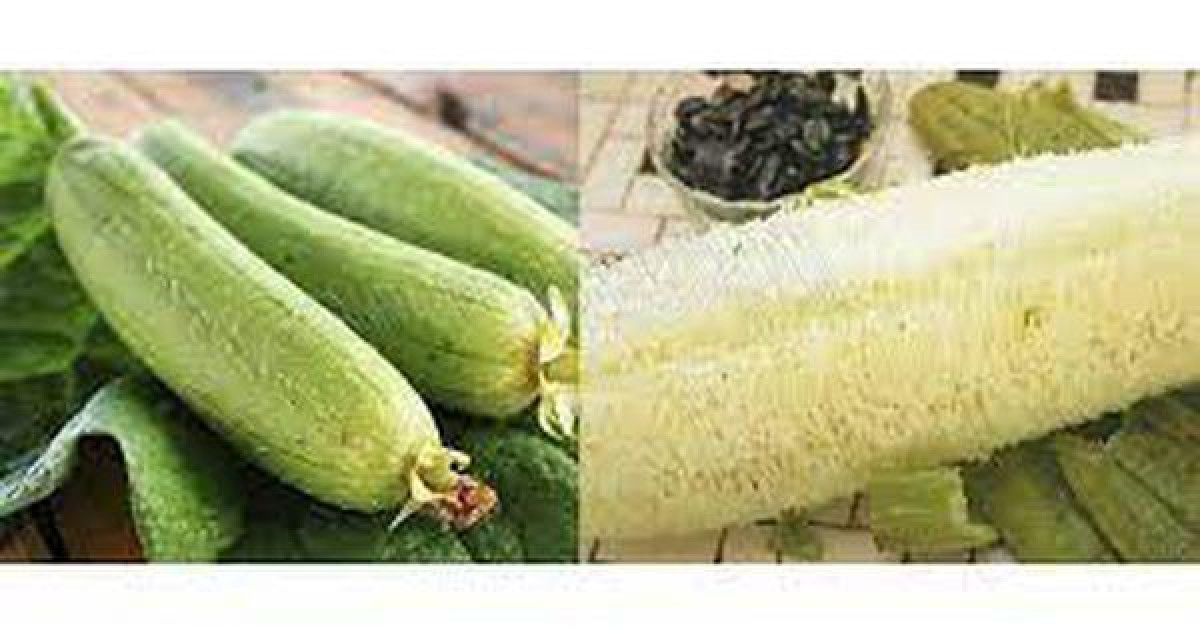 Sức khỏe đời sống - Kinh ngạc thứ hay dùng để rửa bát lại là vị thuốc cần thiết cho rất nhiều người