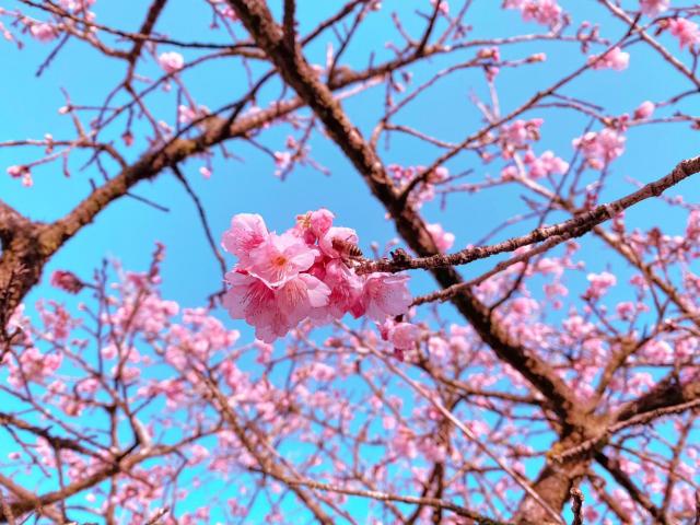 Phát minh y học - BXH Ngoại hạng Anh: MU hạ Tottenham, giờ kém Man City bao nhiêu điểm?