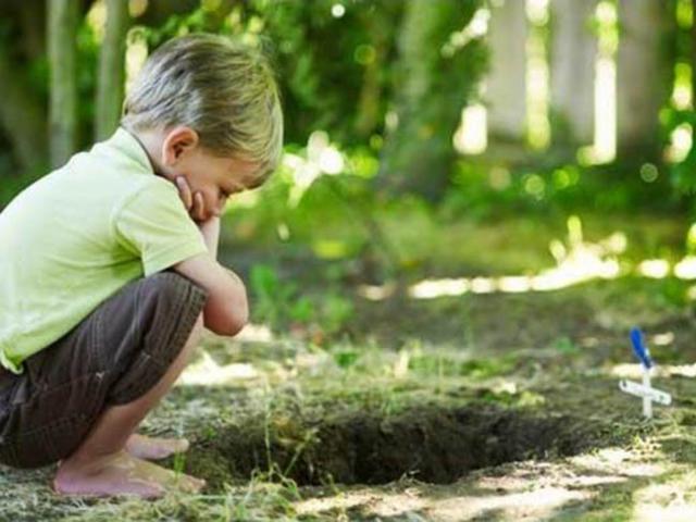 Giáo dục - du học - Cậu bé nhảy lầu vì nghĩ sẽ không chết: Cha mẹ cần giáo dục cho con mình về sự sống và cái chết