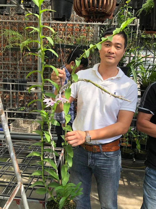 Nghệ nhân chơi lan Trần Anh Tuân và hành trình theo đuổi đam mê - 2