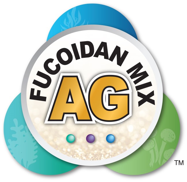 Fucoidan Mix AG pha chế theo công thức tổng hợp phát huy hiệu quả tương hỗ