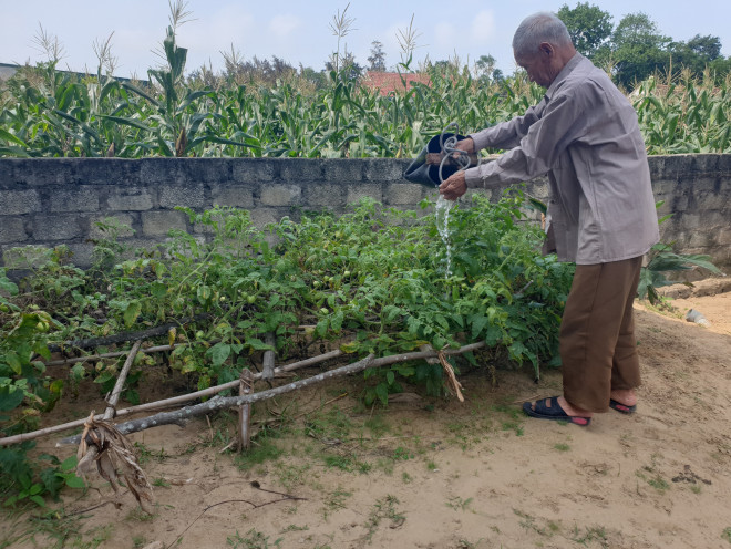 Thời gian rảnh, cụ Phiên chăm sóc cây trong vườn