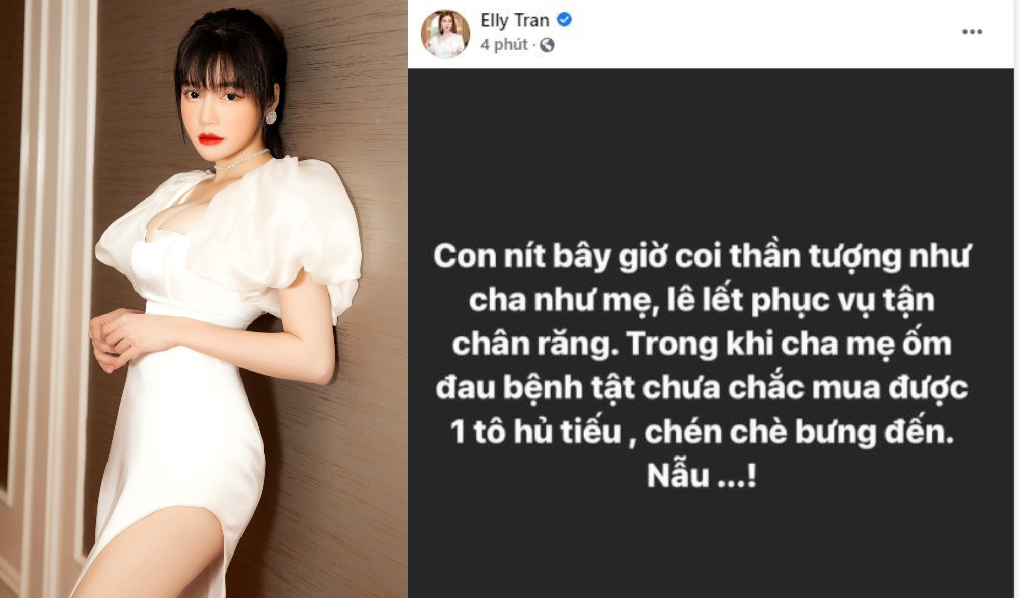 Phát ngôn gây tranh cãi của Elly Trần trên fanpage có hơn&nbsp;1 triệu người theo dõi