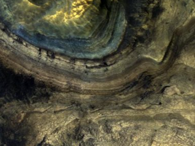 Công nghệ thông tin - Dấu hiệu lạ: Sinh vật ngoài hành tinh y hệt loài cổ quái nhất Trái Đất?