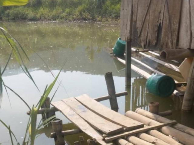 Tin tức trong ngày - 3 học sinh tiểu học tử vong thương tâm