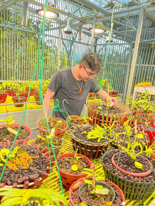 Ông chủ 8x Tùng Dương và hai vườn lan tuyệt đẹp ở Hòa Bình - 2