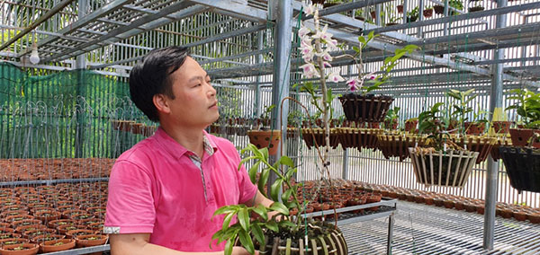 Những giỏ lan đều do chính tay anh lựa chọn giống cây và vun trồng, chăm sóc.