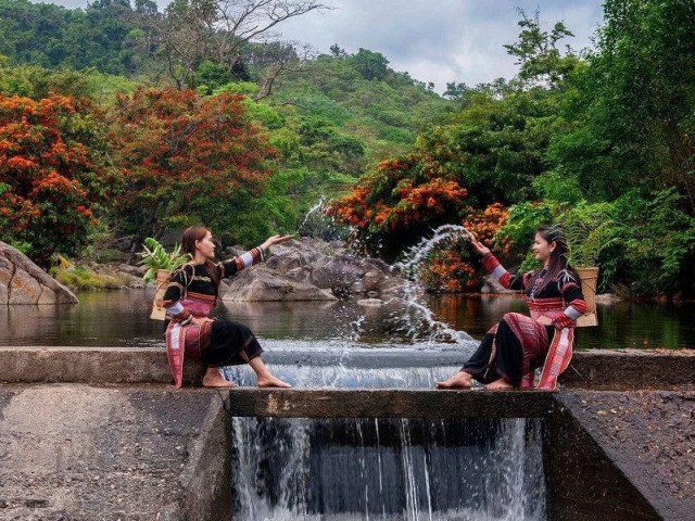 Du lịch - Hoa trang rừng nở rộ sau nhiều năm, suối Tà Má trở thành điểm "check-in" mới của giới trẻ