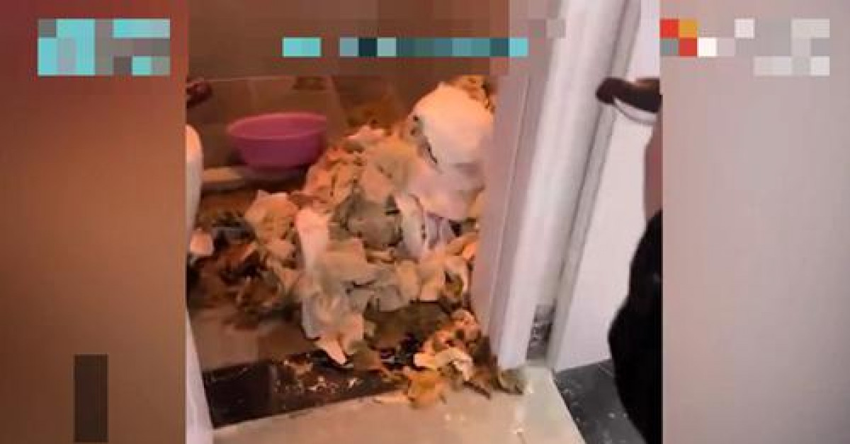 Bạn trẻ - Cuộc sống - Hai cô gái thuê nhà bỗng "lặn mắt tăm", chủ nhà đến kiểm tra thì sang chấn tâm lý