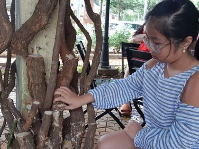 Tin tức trong ngày - Clip: Xót xa giàn hoa giấy tuyệt đẹp trong hoa viên bị cưa hạ