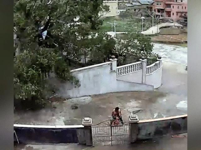 Media - Clip: Bà nội xả thân ôm cháu gái khỏi cây đổ