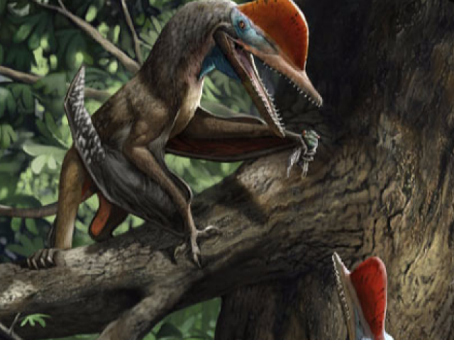 Phi thường - kỳ quặc - "Quái thú bay" kỷ Jura mang trên cơ thể thứ giống con người