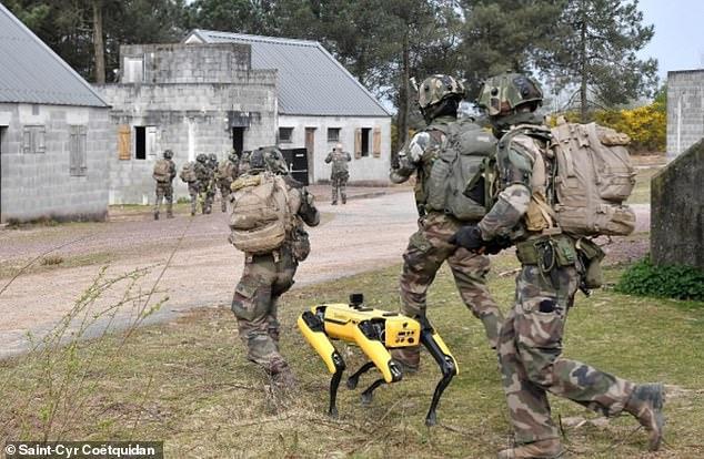 Xem chó robot trị giá 1,7 tỷ đồng của quân đội Pháp 'trổ tài' chiến đấu - 2