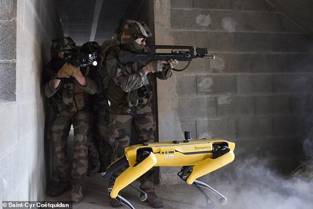 Xem chó robot trị giá 1,7 tỷ đồng của quân đội Pháp 'trổ tài' chiến đấu - 1