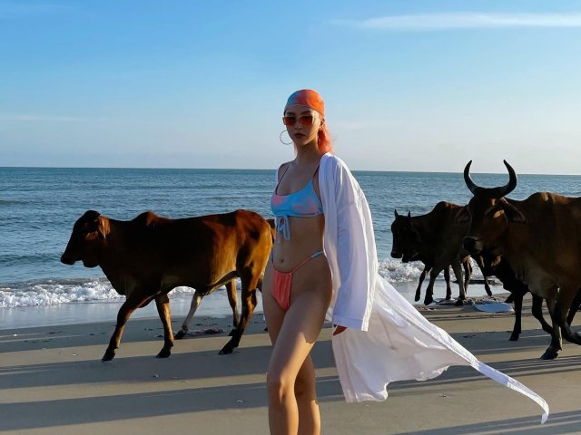 Quỳnh Anh Shyn mặc đồ bơi tự tin chụp ảnh giữa đàn bò