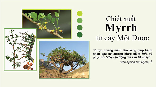 Xẹp đốt sống mà không cần phải mổ chỉ vì nhờ thứ này - 3