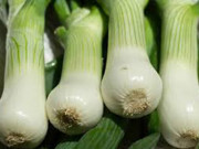Sức khỏe đời sống - Thiếu máu não, đau đầu, mất ngủ, mỏi vai gáy, tê chân tay: Thử mẹo này xong bao thoát bệnh, từ nay ngủ khỏe ăn ngon!