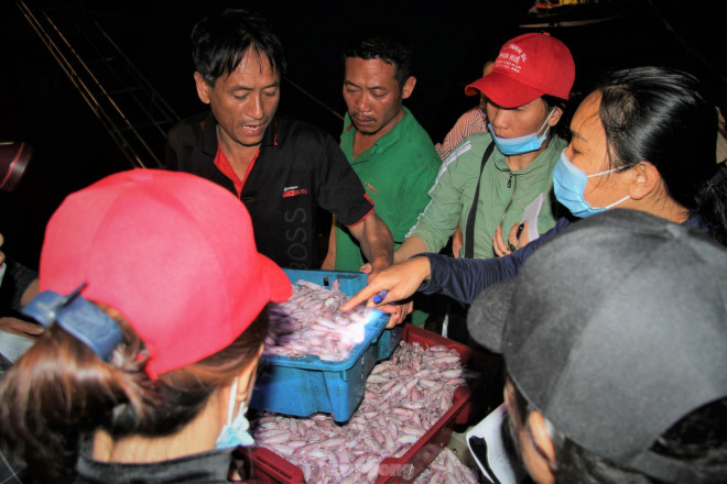 Để đảm bảo độ tươi ngon, mực được hấp ngay trên thuyền nên có giá trị kinh tế cao, giúp ngư dân thu về hàng trăm triệu đồng mỗi chuyến.