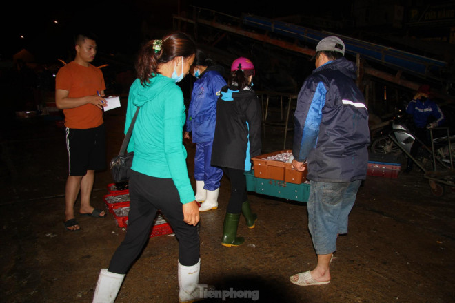 Ngay khi tàu đang trên đường về cảng đã có thương lái ra từ sớm chờ để thu mua.