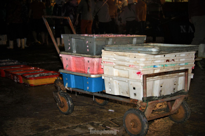 Theo chia sẻ của bà con ngư dân, dịp này sản lượng hải sản đánh bắt được dù không quá nhiều, nhưng bù lại sản phẩm mực luộc có giá trị kinh tế cao, nên nhiều chủ tàu phấn khởi vì có lãi.